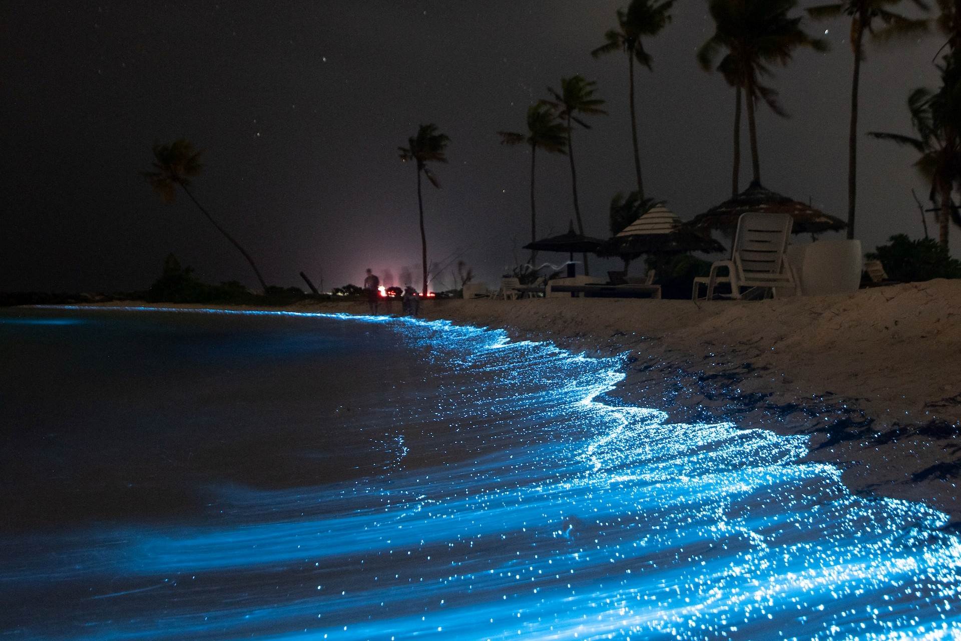 A Maldív-szigetek csillagtengere kép