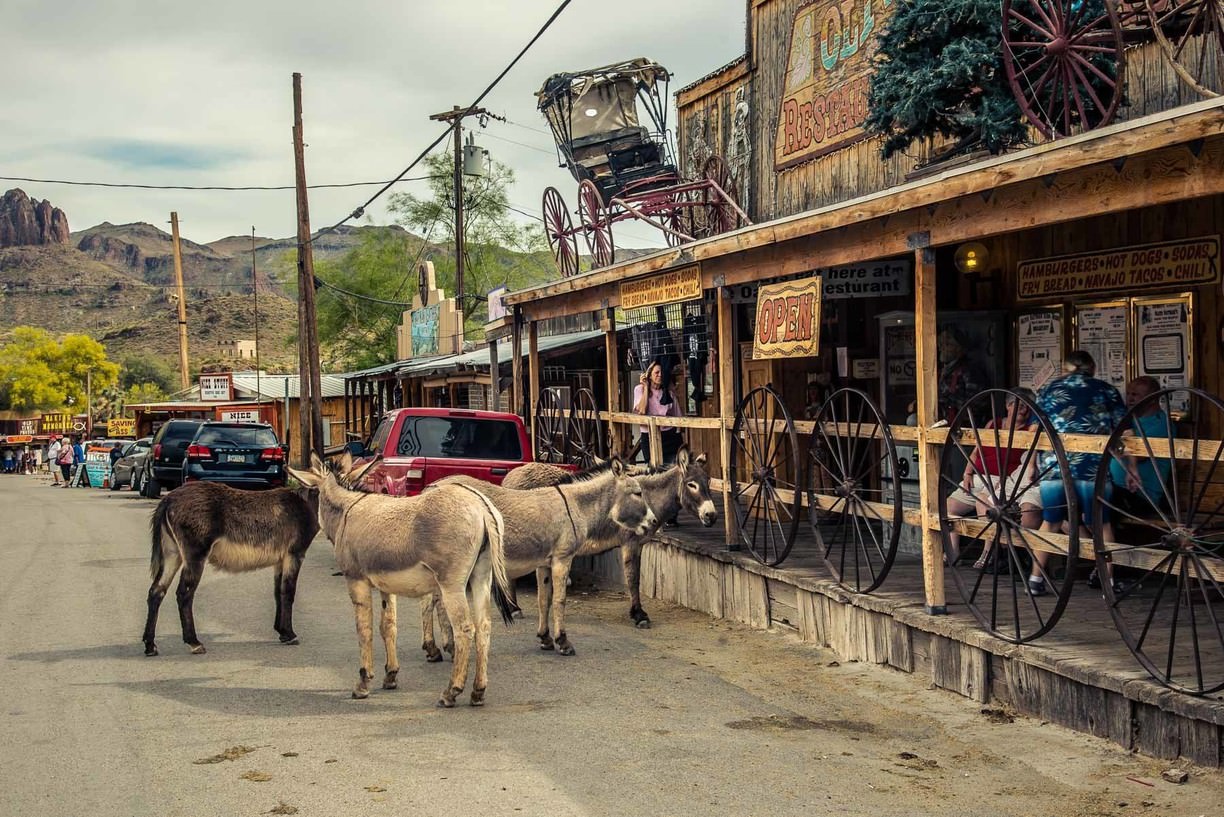 route 66 oatman arizona szamár wild burros vadnyugat utazás usa